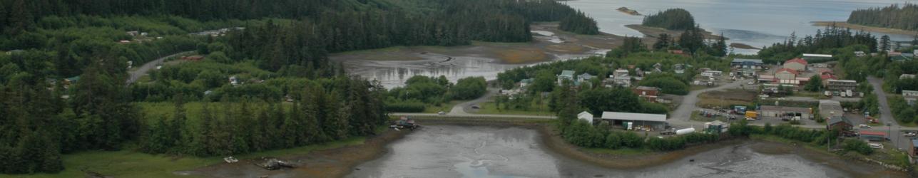 Aerial View of Craig Alaska