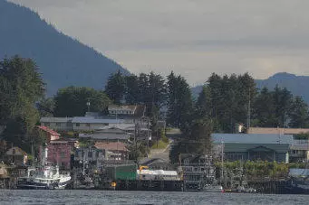 Shore View of Craig
