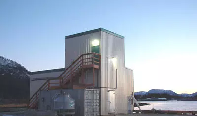 Ice Plant