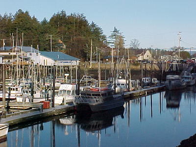 Craig Alaska Harbor