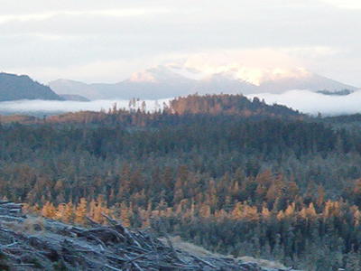 scenic view