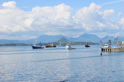 boats in the harbor in Craig Alaska